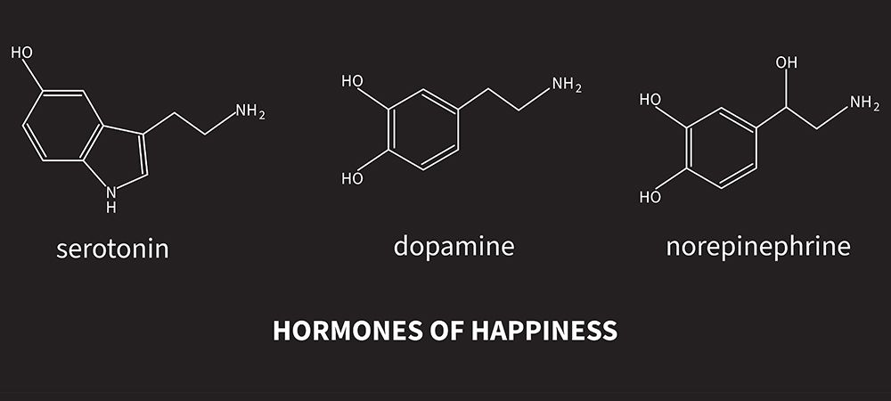 norepinephrine