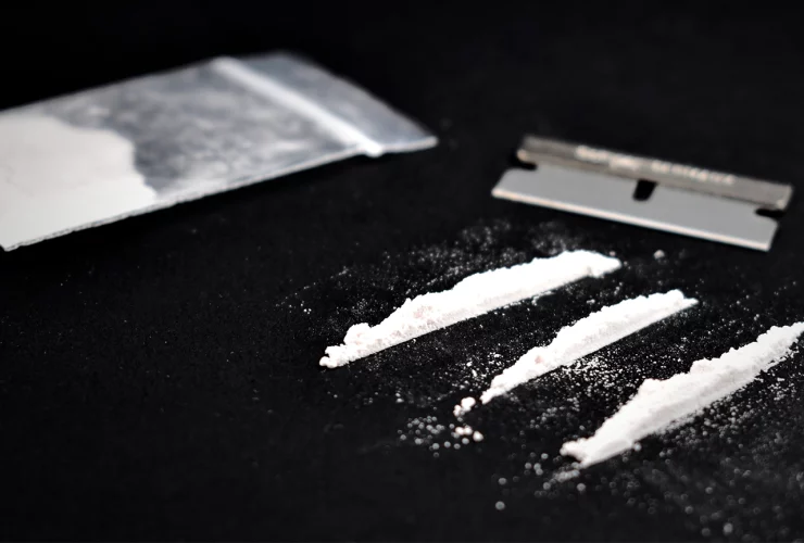 cocaine is a potent stimulant drug